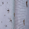Magnetic Fly Screen Window – Easy Installation & Bug Protection