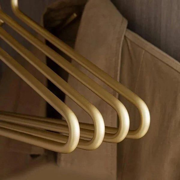 5 pcs Solid Matte Gold/Silver Clothes Coat Hanger │ Seamless Metal Wardrobe Organizer