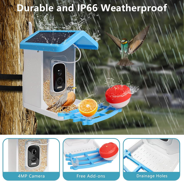 Smart Bird Feeder with Camera Solar Powered