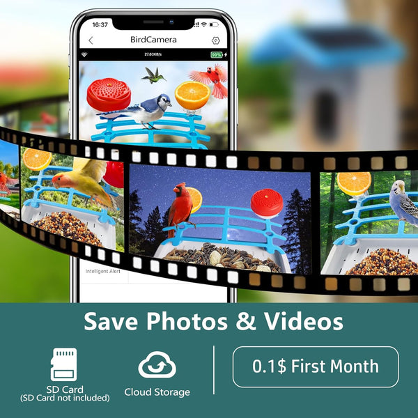 Smart Bird Feeder with Camera Solar Powered