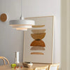 Nordic Design Pendant Light – Modern Hanging Light for Kitchen & Indoor Spaces