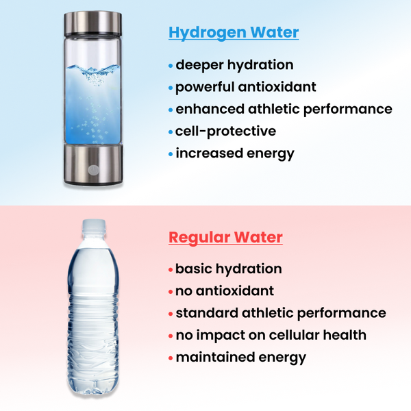 Premium Hydrogen Water Bottle