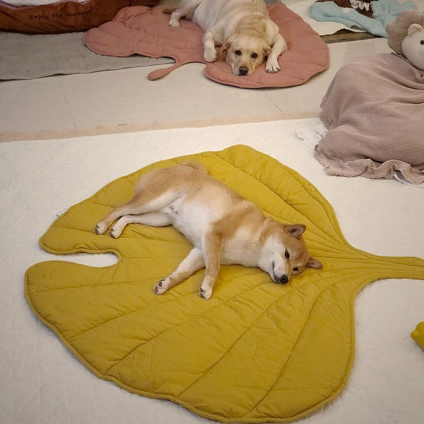 Breathable Cooling Dog Mat - Leaf-Shaped Washable Dog Mat