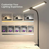 Double Head Dimmable LED Desk Lamp with Clamp for Home Office