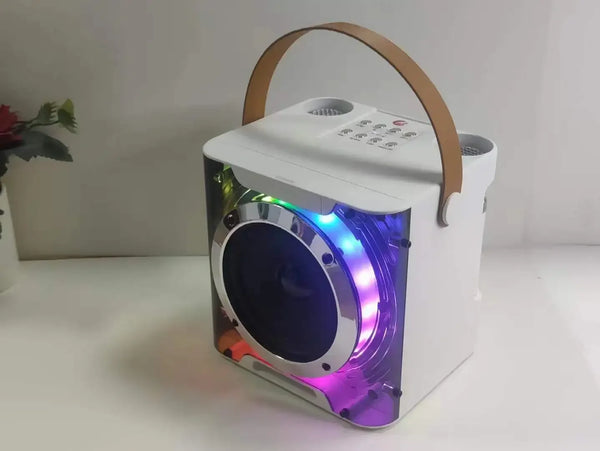 Portable Bluetooth Karaoke Speaker with Lights and Dual Mics