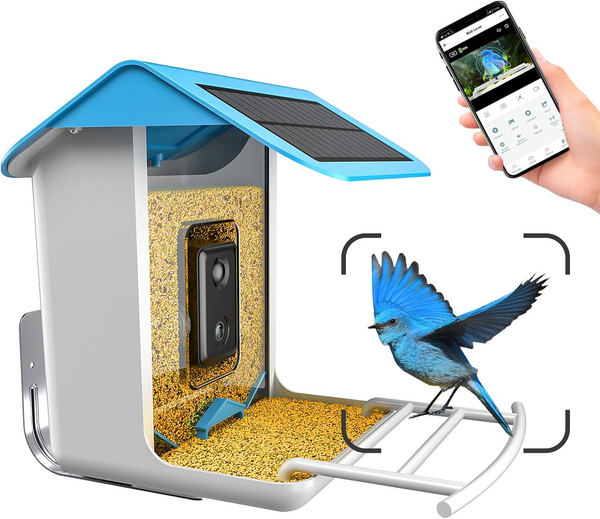 Smart Bird Feeder with Camera Solar Powered