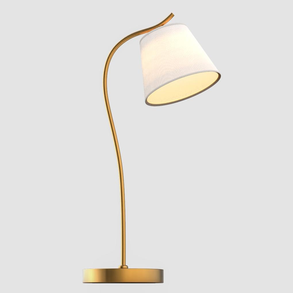 Sorel Gooseneck Desk Lamp