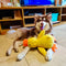 Calming Duck Toy – Soft & Relaxing Plush Toy for Pets