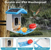 Smart Bird Feeder with Camera Solar Powered