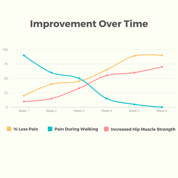 Orthopedic Hip Stabilizer