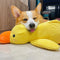 Calming Duck Toy – Soft & Relaxing Plush Toy for Pets