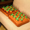 Interactive Plush Carrot Dog Toy  - Carrot Snuffle Mat for Dogs