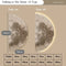Variant image for Minimalist Half-Moon Wall Lamp – LED Wall Lights Indoor for Hallway and Porch, Modern Sconce Light Design-3