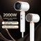 2000W Professional Hair Dryer with Ionic Technology and 5 Speed Settings