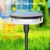 Solar Pathway Lights - 2PCS Waterproof Outdoor Garden Path Lights with 12-Hour Brightness