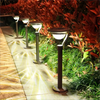 Super Bright Solar LED Garden Lights - Waterproof Outdoor Solar Lamp for Courtyards and Pathways