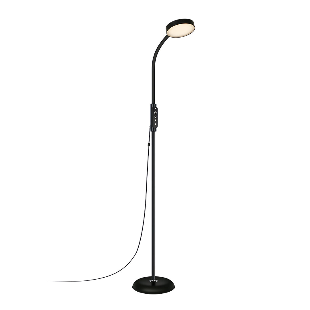 Floor Lamp LED Reading Light Dimmable Touch Remote Control Iron Modern Bedroom Office