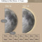 Minimalist Half-Moon Wall Lamp – LED Wall Lights Indoor for Hallway and Porch - Modern Sconce Light Design
