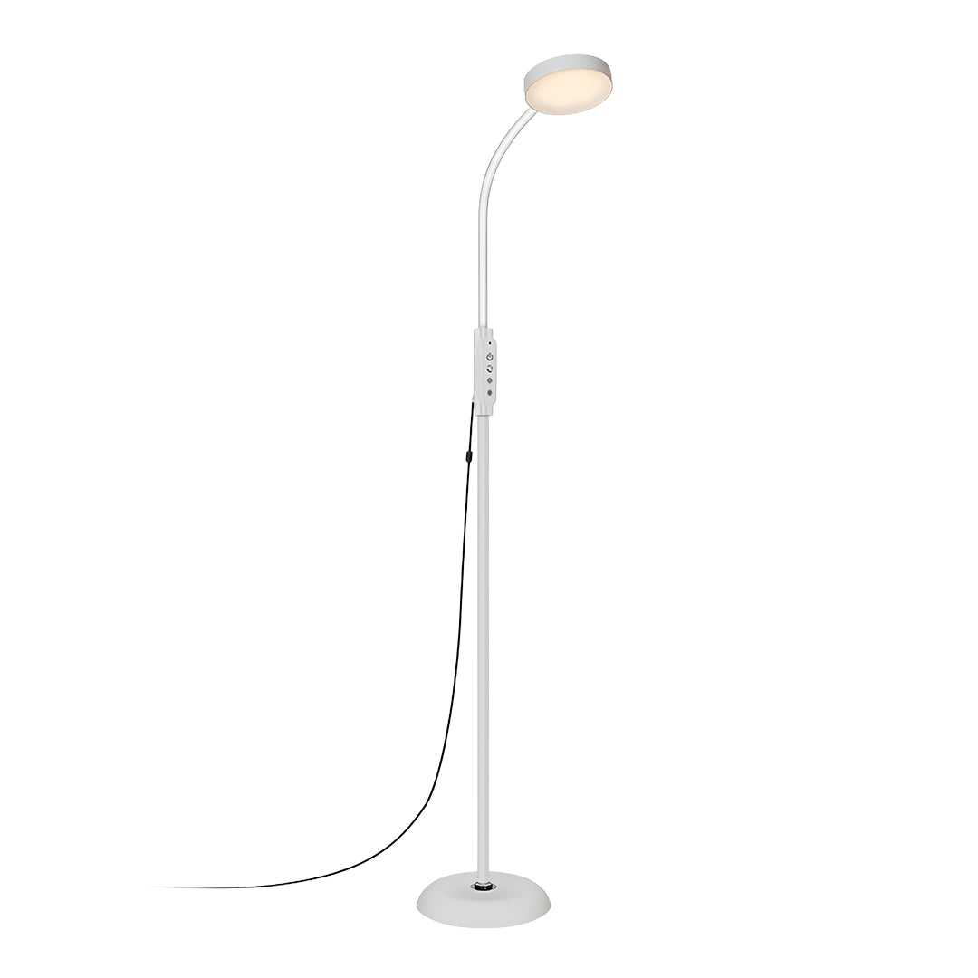 Floor Lamp LED Reading Light Dimmable Touch Remote Control Iron Modern Bedroom Office
