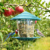 Squirrel Proof Bird Feeder