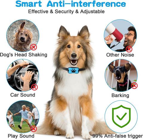 Dog Anti-Bark Collar