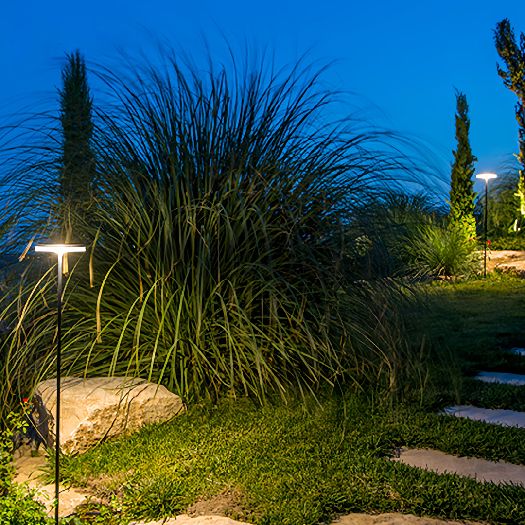 Modern High Pole LED Path Lights Outdoor Waterproof Landscape Lighting