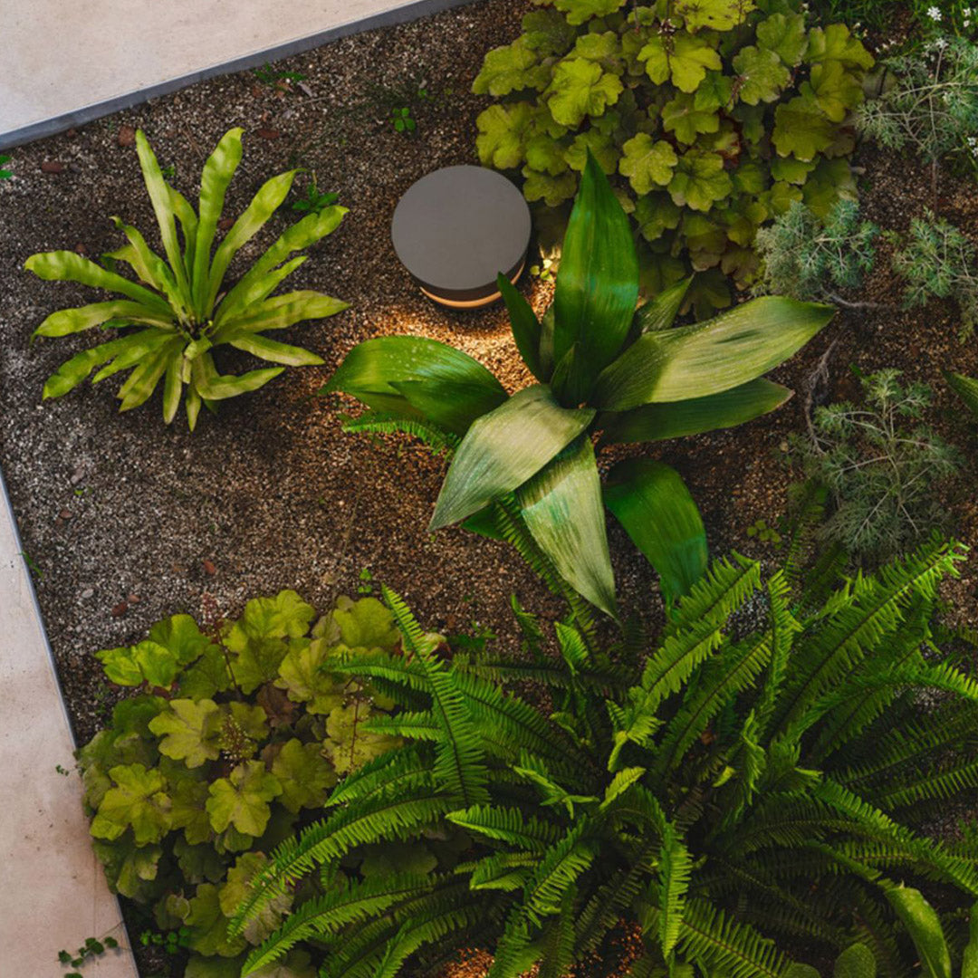 Pathway Light LED Outdoor Waterproof Stainless Steel Garden Landscape Lighting