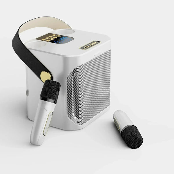 Portable Bluetooth Karaoke Speaker with Lights and Dual Mics