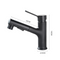 Modern Pull Out Bathroom Sink Faucet
